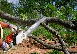  West Portsmouth, OH Tree Services Pros