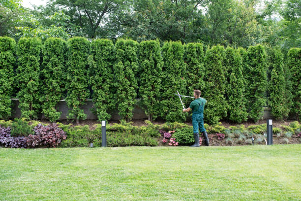 Lawn Pest Prevention in West Portsmouth, OH